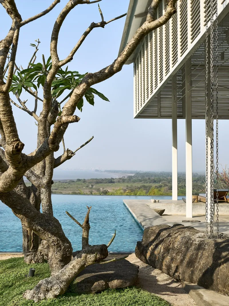 Gnarled tree trunk and boulders at the pool edge with the louvered pavilion overhead in hazy daylight