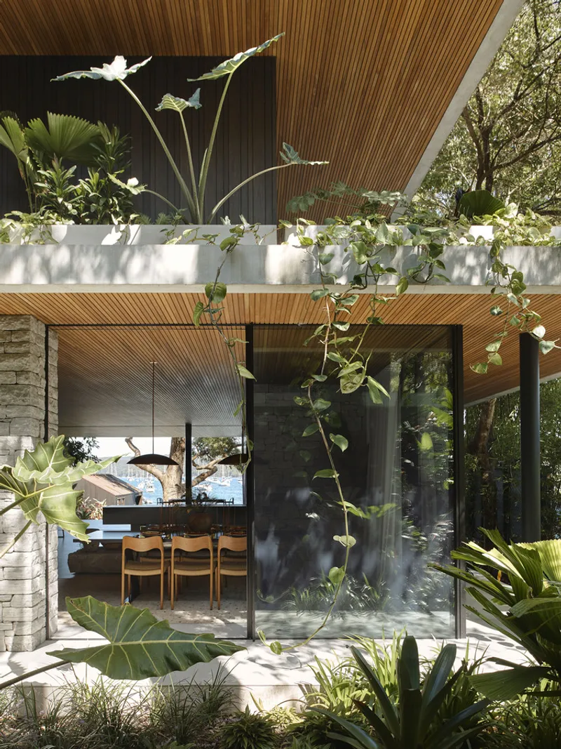 View through planted courtyard to dining room framed by timber soffit and climbing vines