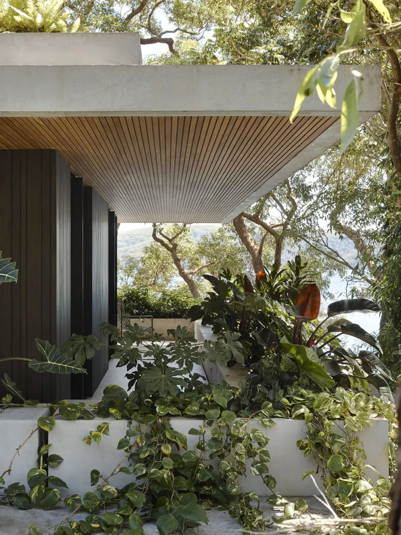 Exterior soffit with timber slat ceiling extending over raised planting bed with bird-of-paradise and mature trees overhead