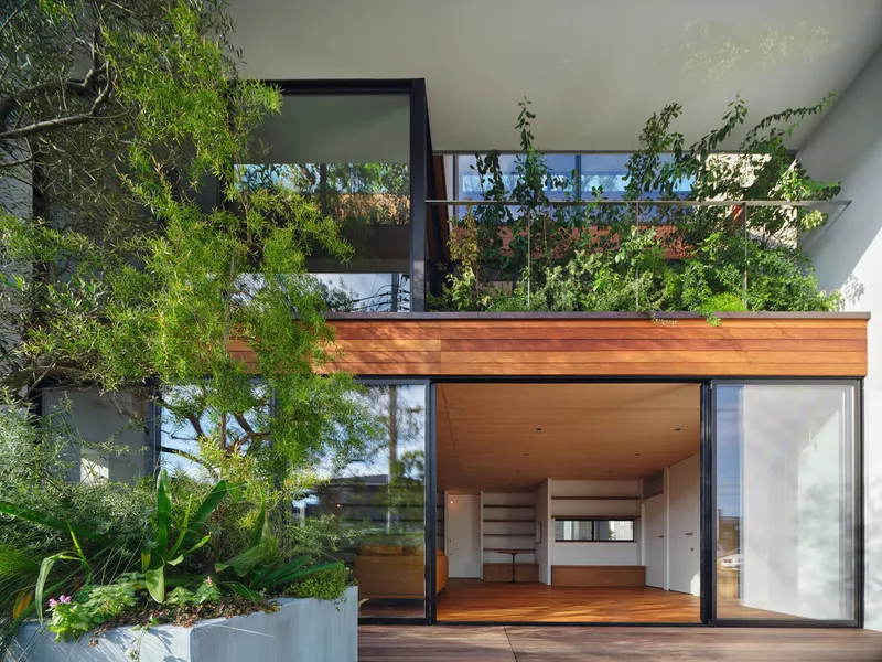 Timber-decked terrace with sliding glass doors opening to the interior and tree canopy overhead