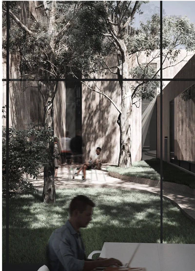 Courtyard view through floor-to-ceiling glass showing trees casting dappled shadows on visitors and grass