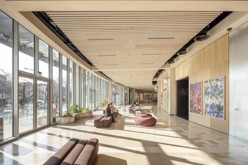 Long interior hallway with floor-to-ceiling glazing and timber baffle ceiling in afternoon light