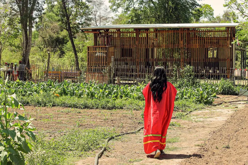 Figure in red walking toward the vertical timber screen facade through a vegetable garden with young plants
