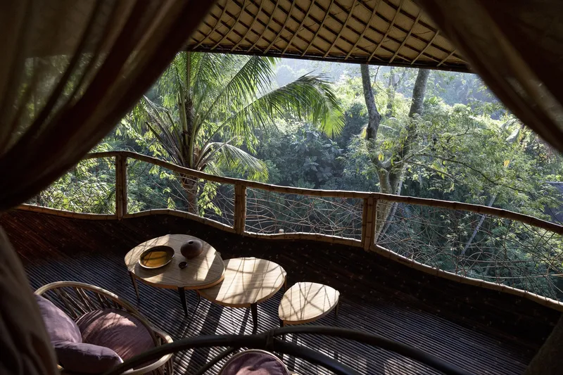 View through woven bamboo opening to curved balcony railing with jungle canopy and dappled sunlight beyond