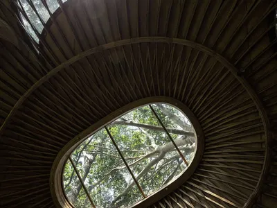 IBUKU Weaves a Bamboo Treehouse Around Three Giant Trees on Bali's Sayan Ridge
