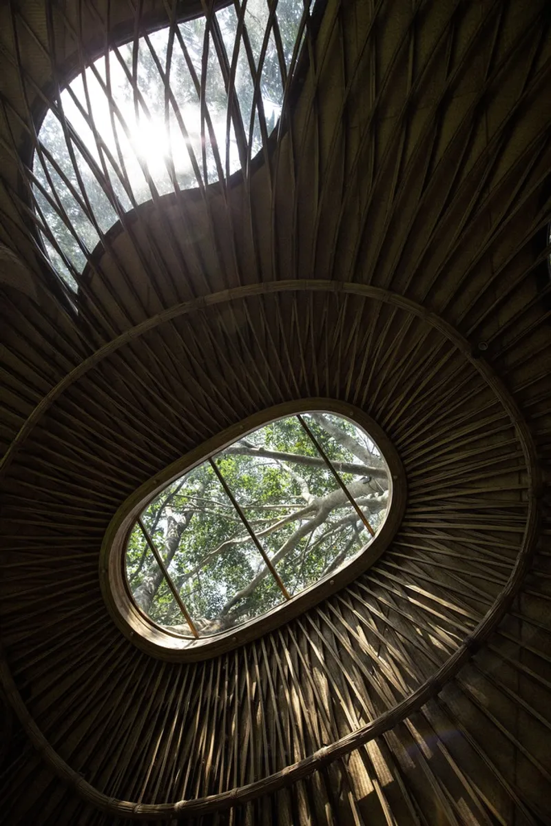 Interior upward view of a spiraling wooden ceiling with two oval skylights framing tree canopy above