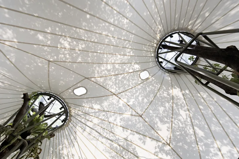Looking up at the tensile membrane roof with radial steel supports casting dappled light shadows