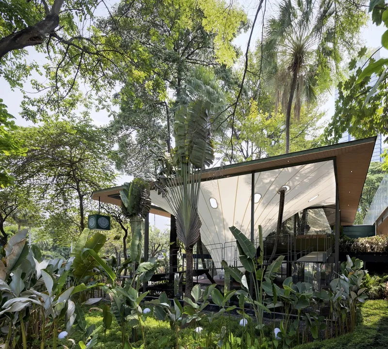 Glass-walled pavilion with angular white roof among banana palms and mature trees in filtered daylight