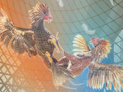 VR Chic(k): Bamboo Arenas Under Bangkok's Highways Revive Cockfighting Through VR