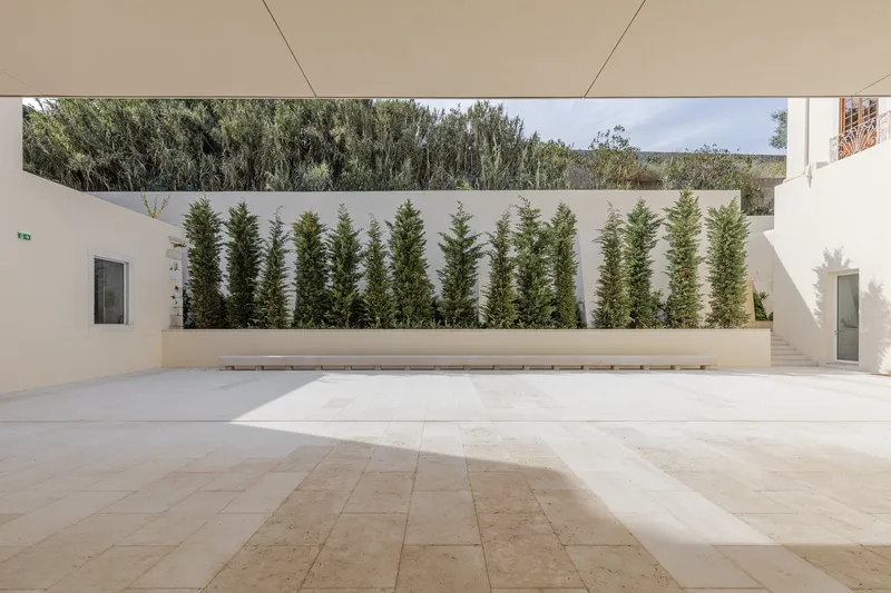 Courtyard with white wall, raised planter bed of vertical green shrubs, and trees beyond