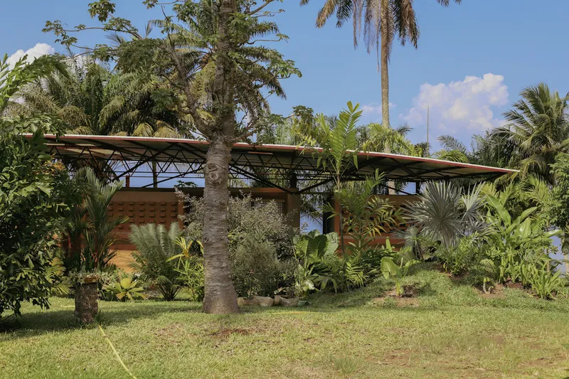 Elevated structure with exposed steel truss roof framed by a baobab tree and tropical vegetation