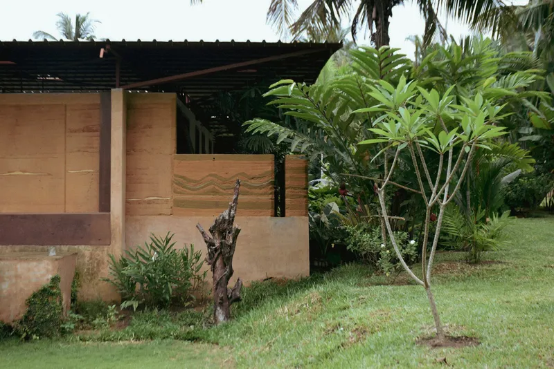 Rammed earth facade detail with timber panels and young plumeria tree in foreground