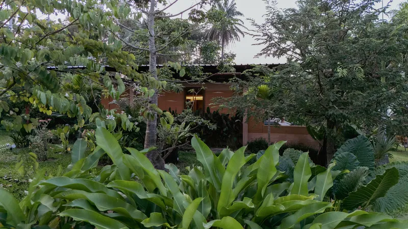 Terraced earthen walls and flat roofs embedded in dense tropical planting under an overcast sky