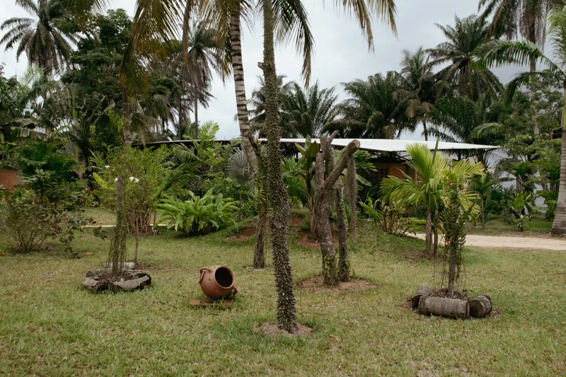 Garden yard with palm trees and clay vessels on grass under overcast sky