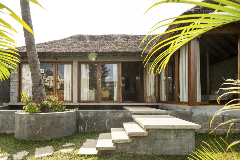 Garden facade with thatched roof and timber-framed glazing behind concrete planters and palm fronds