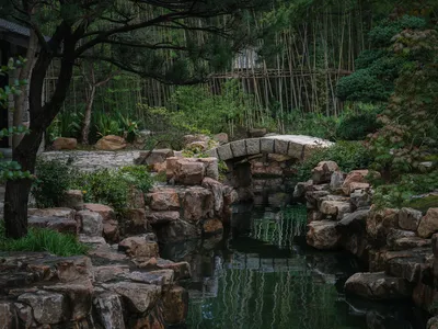 Atelier VISION Channels the Ancient Lanting Gathering into a Living Garden at Jiading