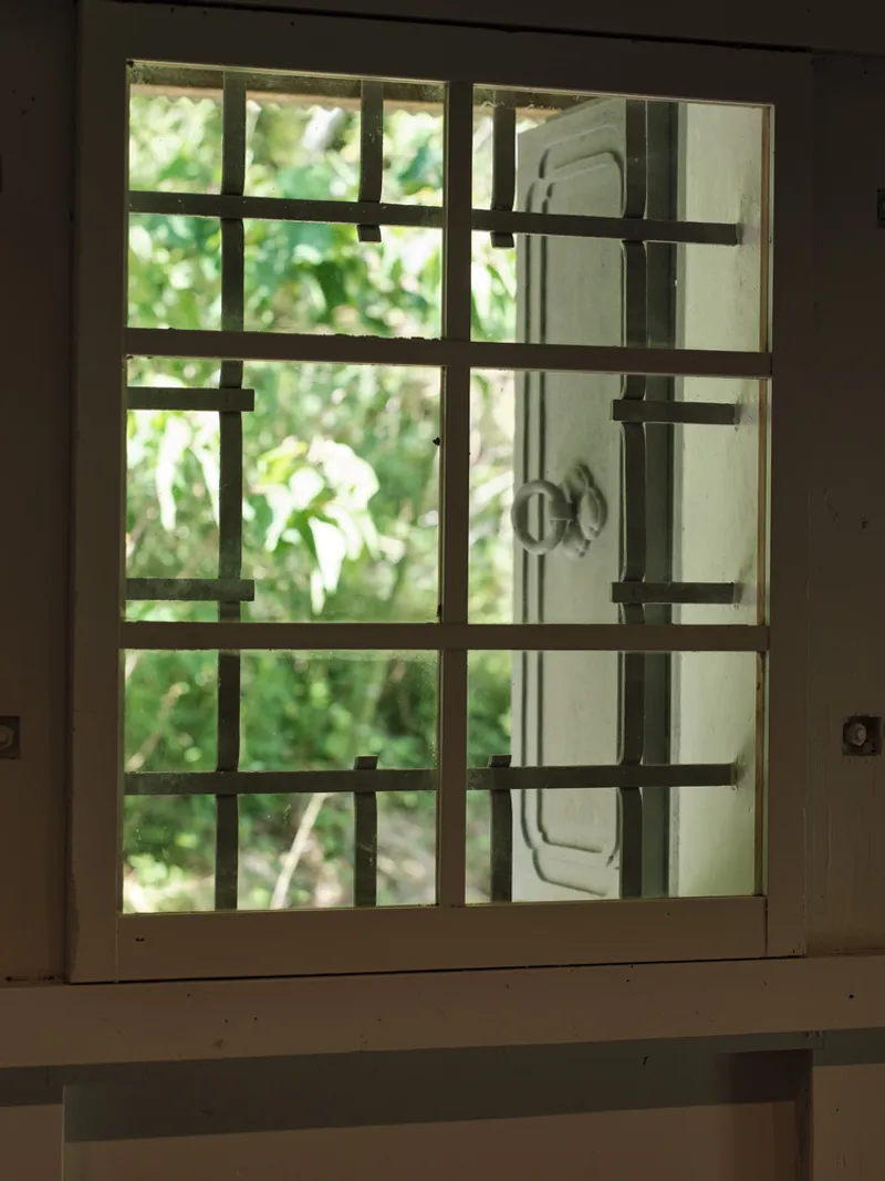 Gridded timber window frame looking out to foliage with dappled sunlight filtering through