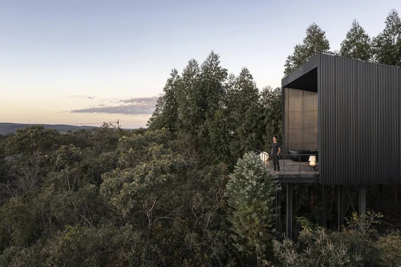 Corrugated metal volume elevated on stilts above dense forest canopy with person on deck at dusk