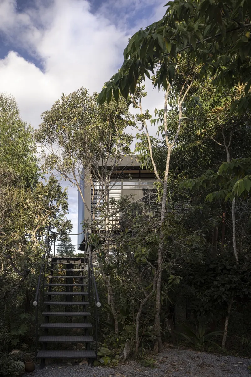 Steel staircase ascending through native bush to raised cabin under eucalyptus canopy