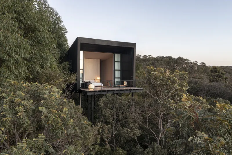 Dark rectilinear pavilion on steel columns emerging from treetops at twilight with person on deck
