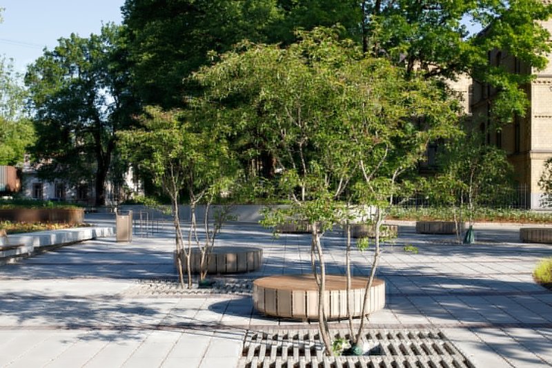 Paved plaza with circular timber planters around young trees and integrated drainage grates