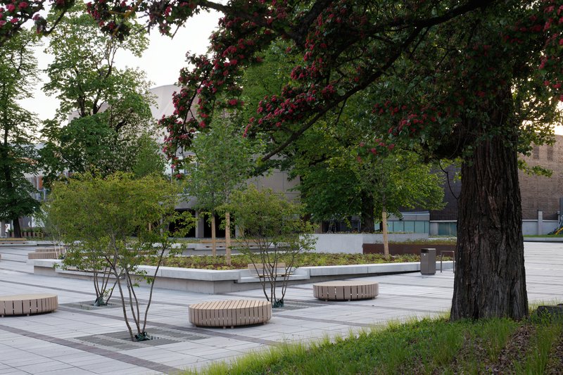 Public plaza with curved timber benches, paved stone surfaces and multi-stemmed trees under dappled evening light