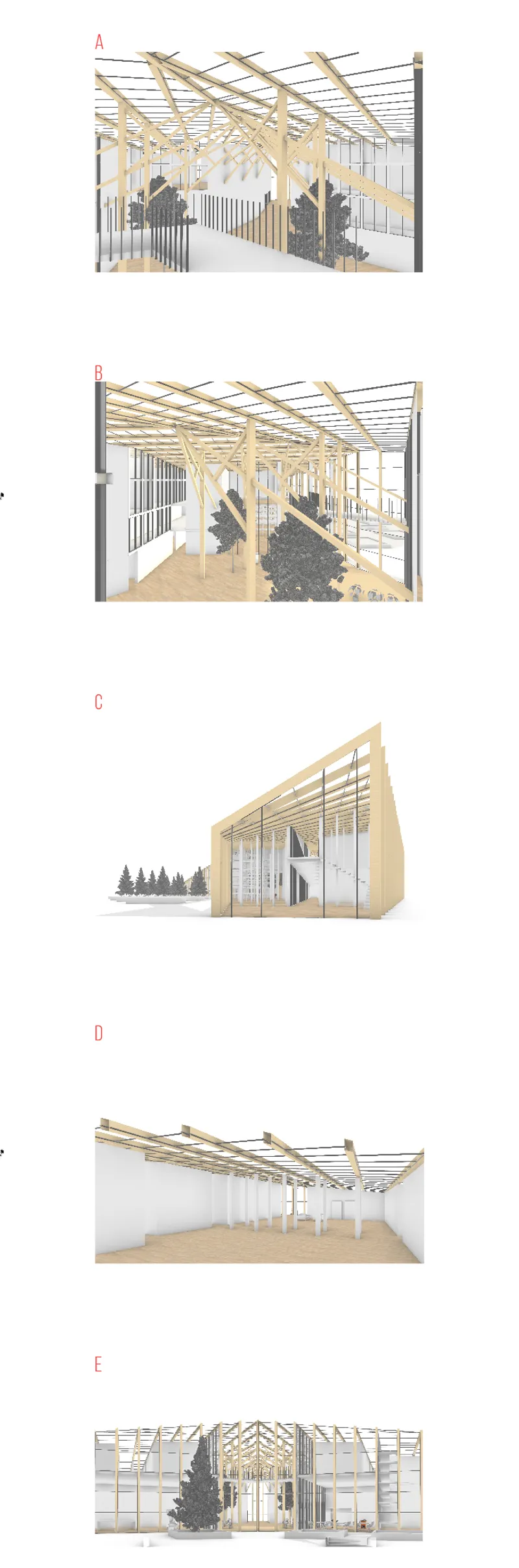 Series of five axonometric and perspective drawings depicting interior and exterior views of the timber-framed pavilion