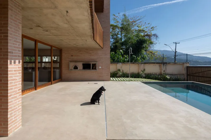 Concrete terrace beside the pool with a black dog seated in afternoon sunlight