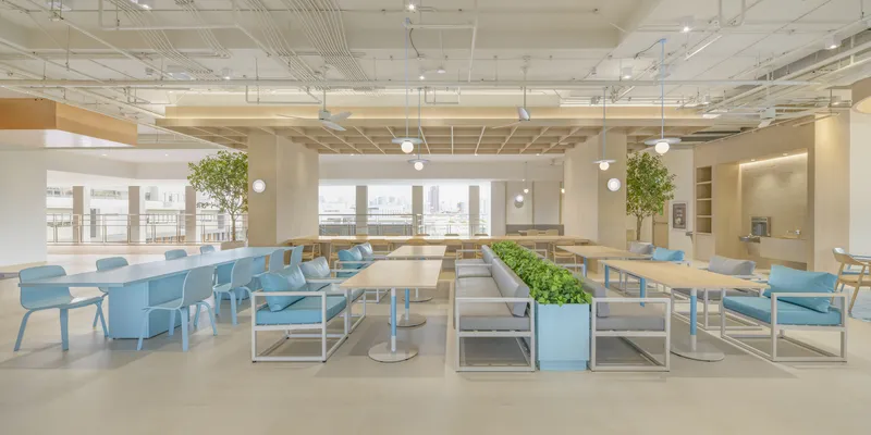 Wide view of communal workspace with blue chairs, planted room divider and floor-to-ceiling windows