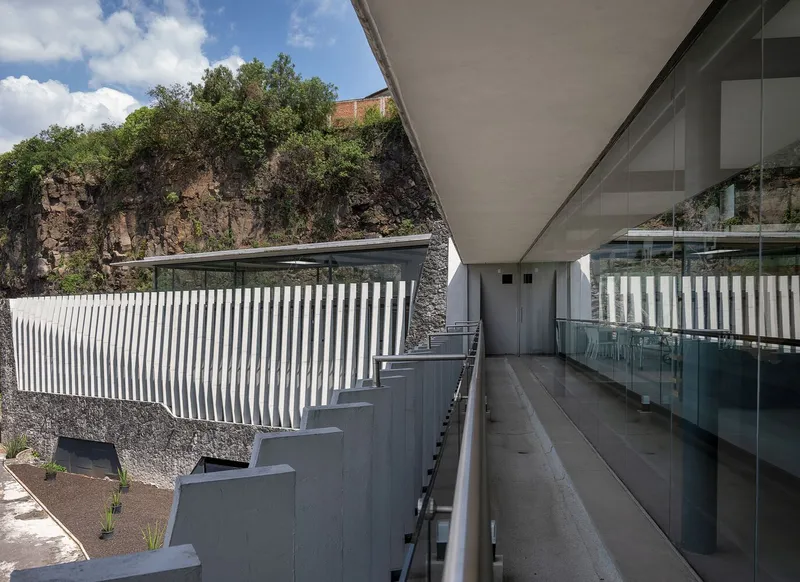 Terrace walkway with glass balustrade overlooking vertical louvered screen and planted courtyard below