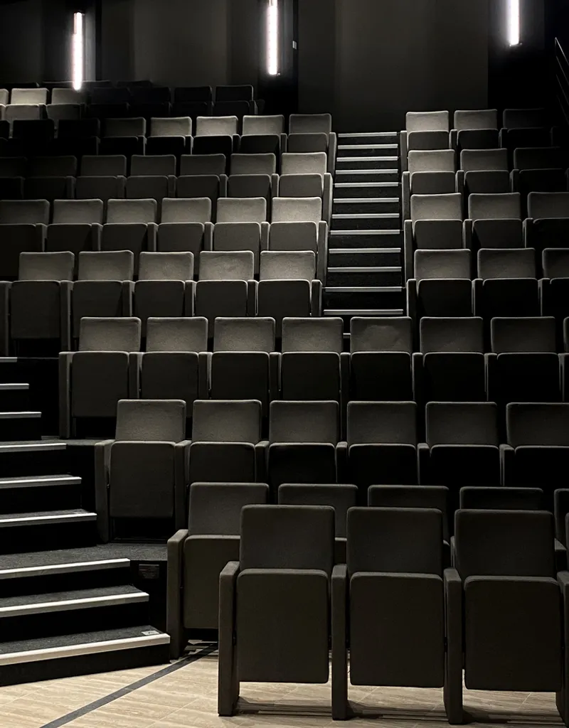 Stepped auditorium seating illuminated by vertical light strips against black walls and ceiling