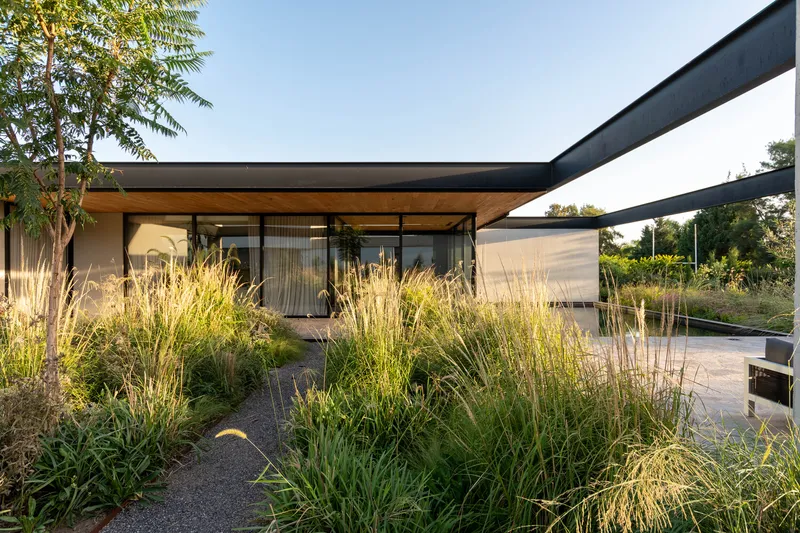 Glass-walled pavilion with timber soffit and planted gravel terrace with tall grasses and blue sky