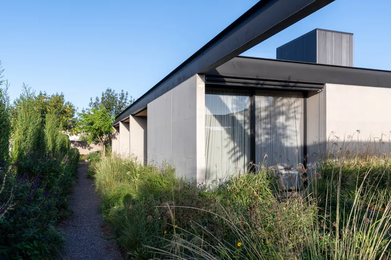 Garden path along pale facade panels and floor-to-ceiling glazing framed by grasses and shadow