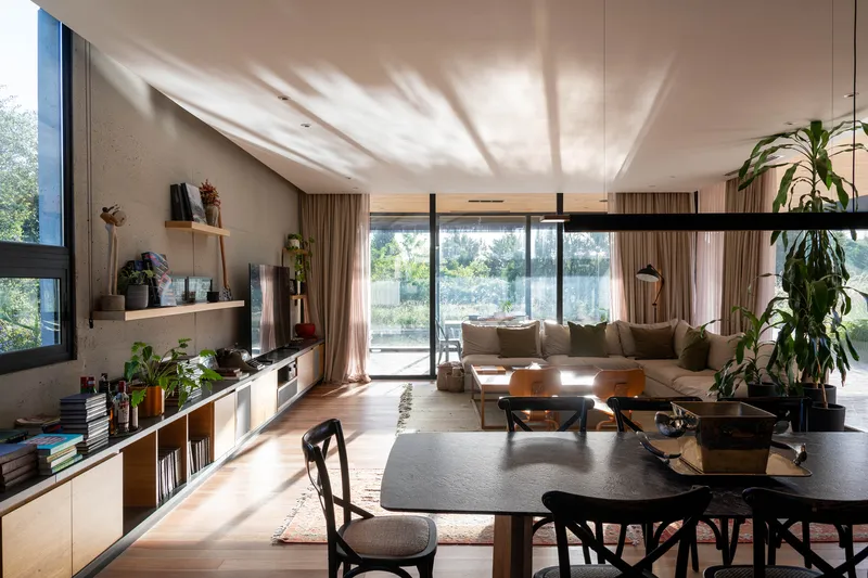 Open-plan living and dining room with timber shelving, houseplants, and dappled sunlight from above