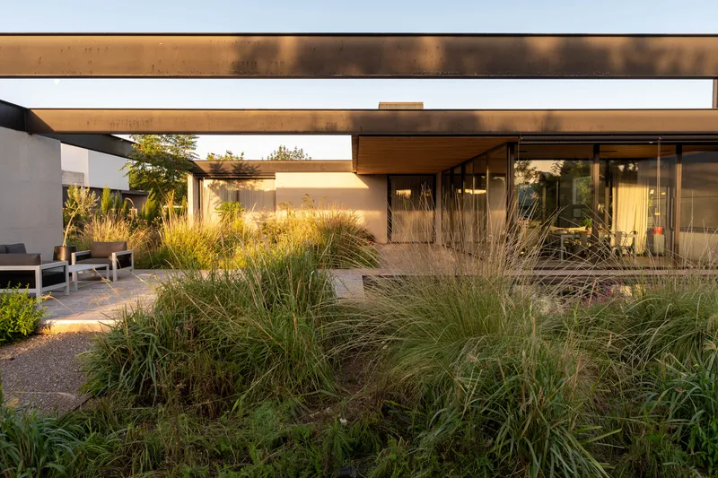 Planted beds with native grasses beneath illuminated timber soffits at dusk