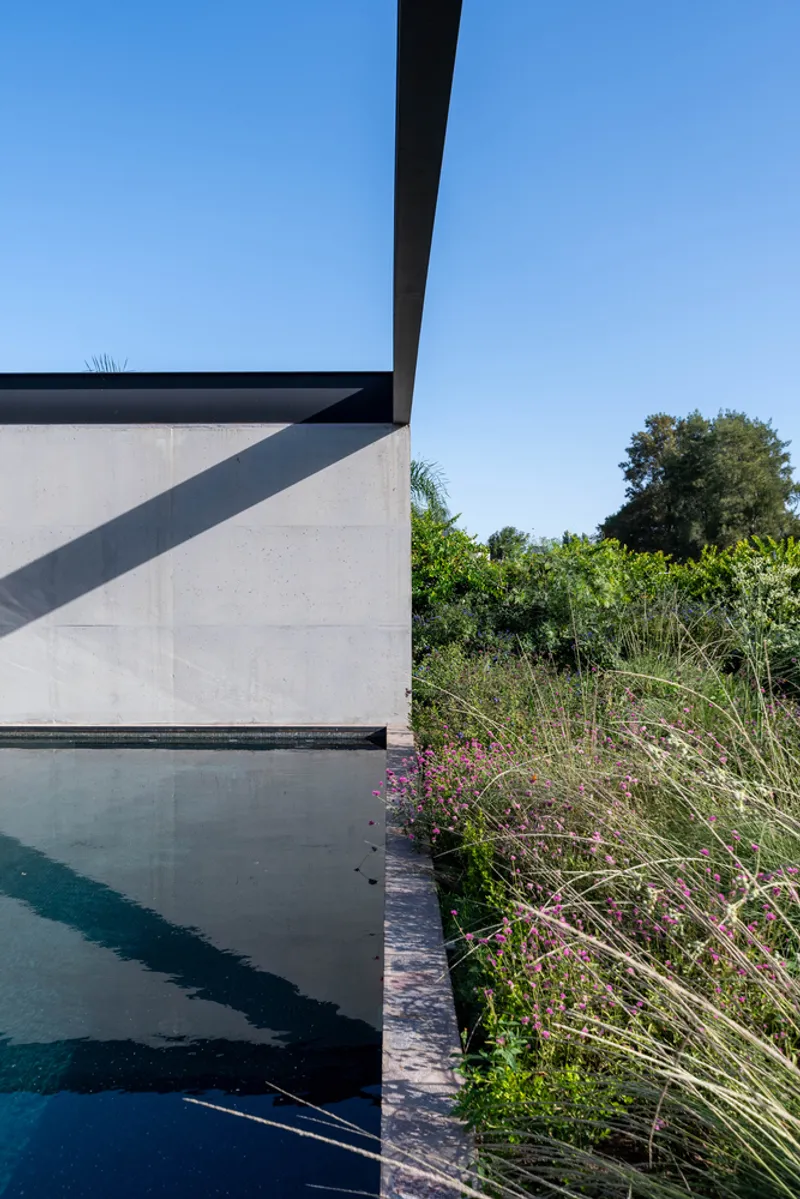 Reflecting pool alongside a concrete wall with cantilevered black steel beams and wildflowers