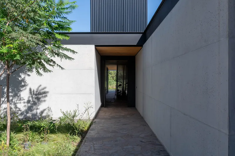 Concrete entry passage with timber soffit and tree casting shadows on the wall