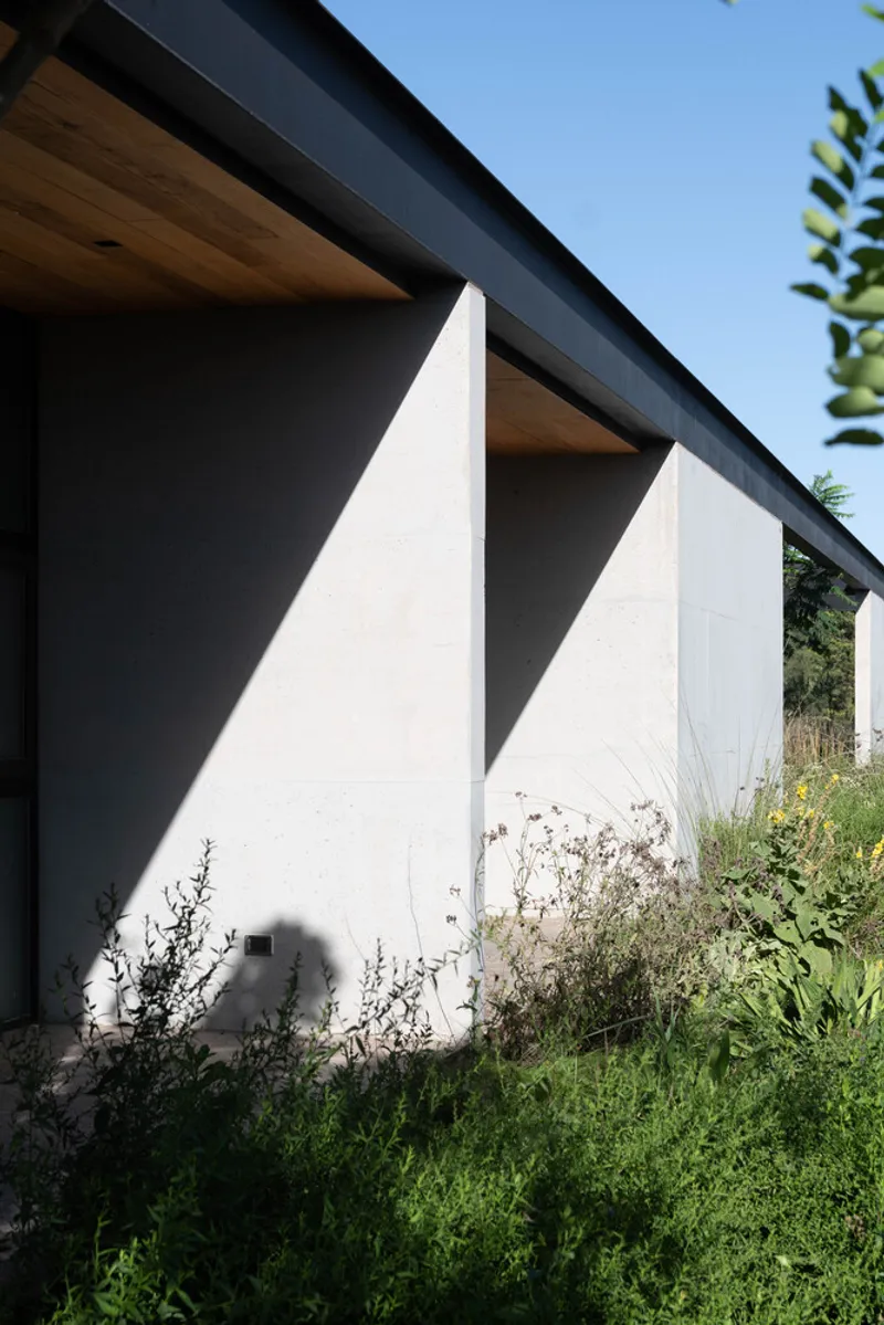 White rendered wall with timber soffit overhang and dark fascia surrounded by planted grasses