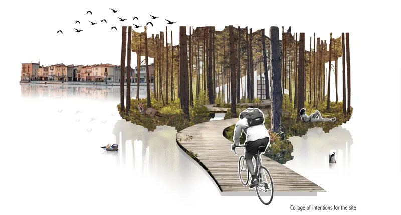 Collage drawing showing a timber boardwalk through a forest island with a cyclist and birds overhead