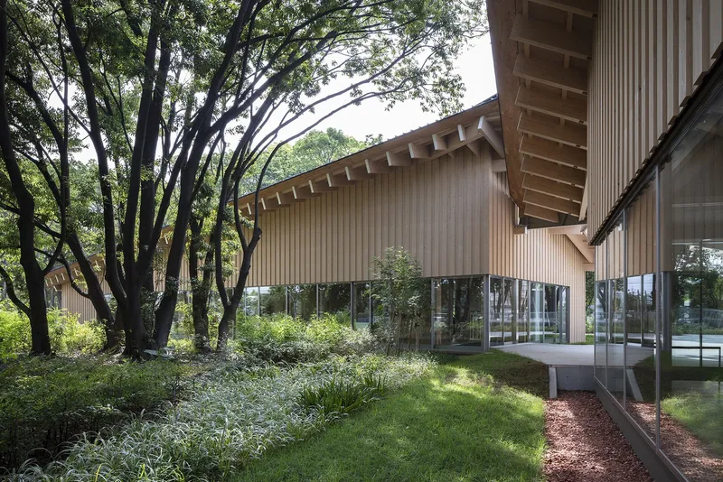 Elevated timber volume with vertical wood cladding above continuous glazing in forested setting