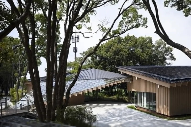 Curved metal roof structure with vertical timber cladding nestled among mature deciduous trees