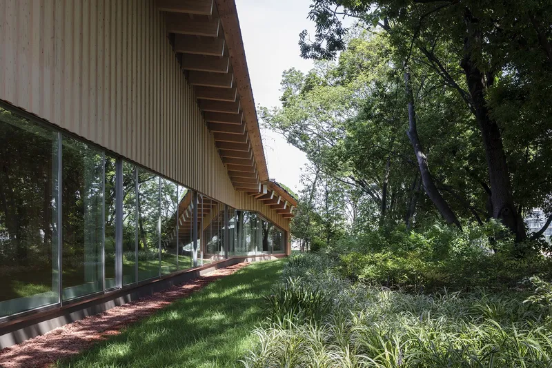 Timber-clad facade with exposed rafter tails and continuous glazing set into a sloping planted landscape