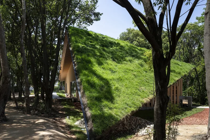 Grass-covered roof mound nestled between existing trees with stone retaining wall at base