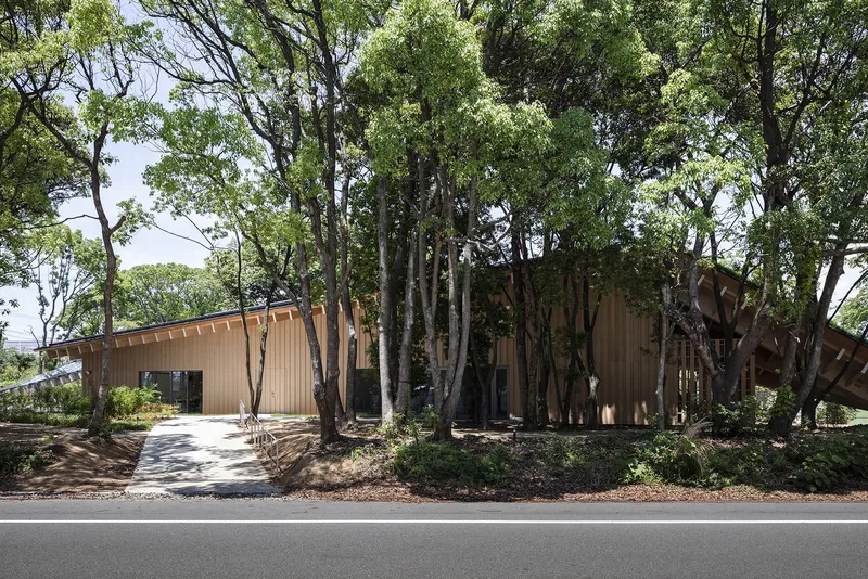 Timber-clad volume set back from a roadway among preserved mature trees and mulched pathways