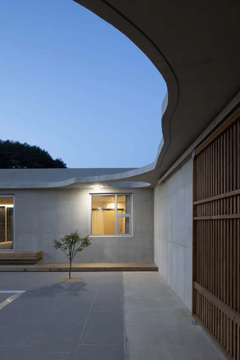 Concrete courtyard walls with slatted timber screen and single planted tree at twilight