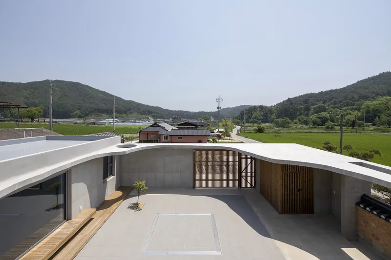 Concrete-walled courtyard with timber screen panels and a single tree planted in the pale stone paving