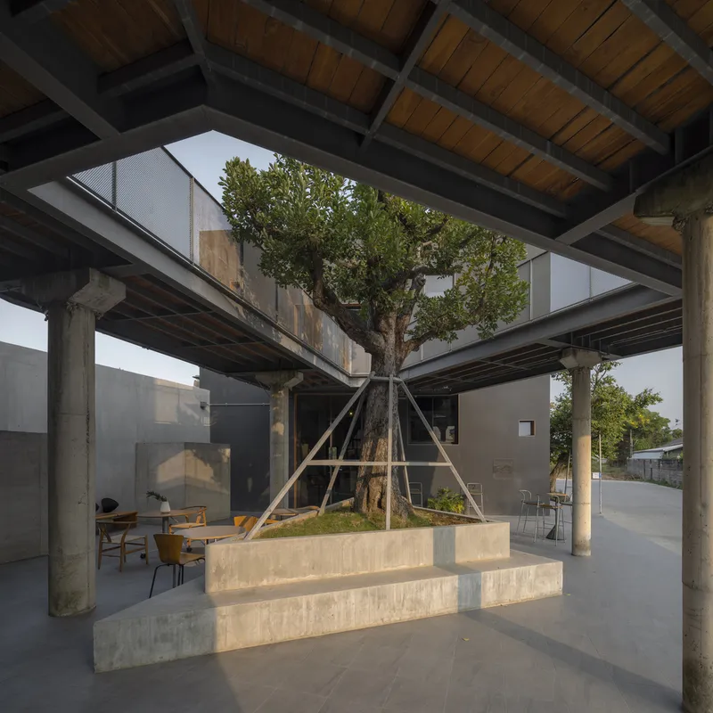 Covered terrace with timber ceiling and concrete columns surrounding a raised planter box with existing tree