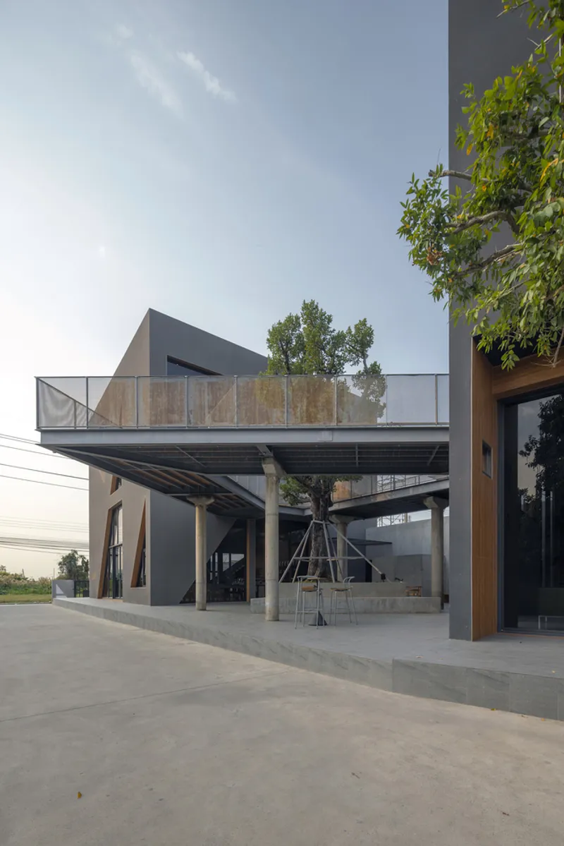 Elevated terrace with glass balustrade and planted trees supported by steel columns above outdoor seating