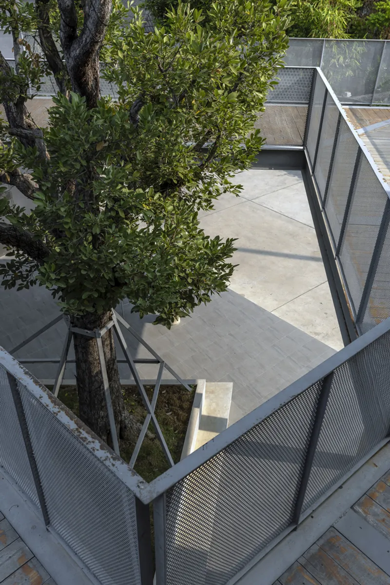 Overhead view of terrace with perforated metal railings and tree growing through timber deck