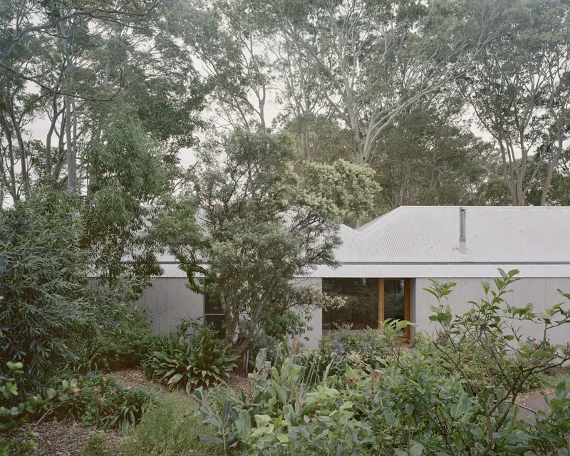 Exterior view of the metal-clad gable roof nestled among native eucalyptus and dense understory planting